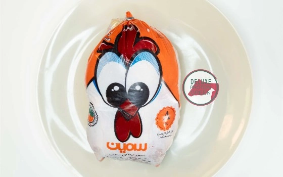 مرغ اكبرجوجه
