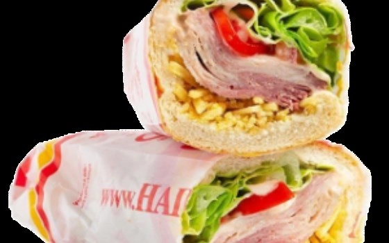 مخصوص هایدا(بیکن)