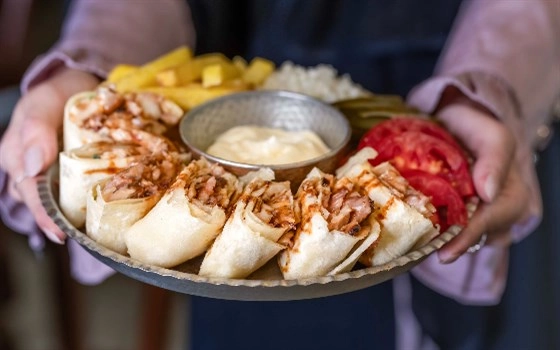 عربی پلاس میکس مرغ