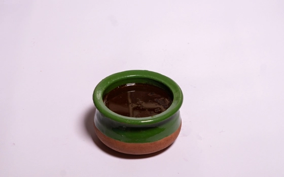 خورشت گردو