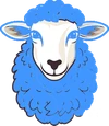 گوشت گوسفند منجمد