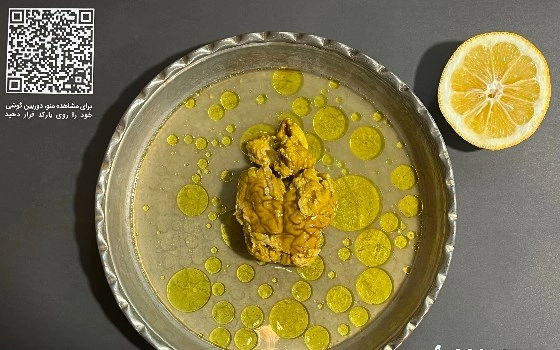 مغز