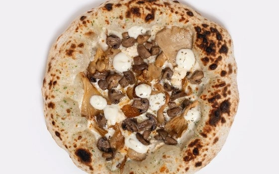 فونگی