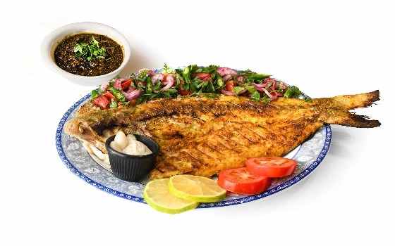 ماهی راشگو