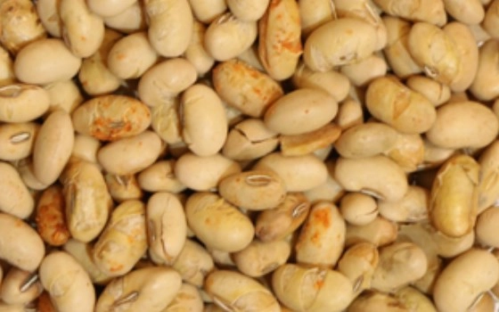 سویا