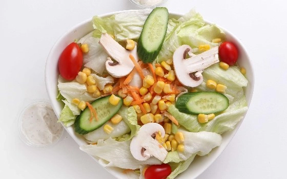 گاردنیا
