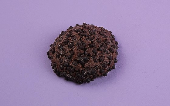 کوکی بزرگ شکلاتی 