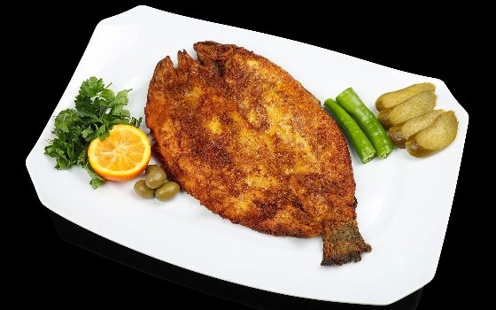 خوراک ماهی قزل آلا