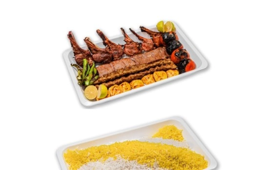 سینی میکس مخصوص ( همراه چلو)
