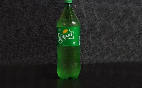 خانواده اسپرایت
