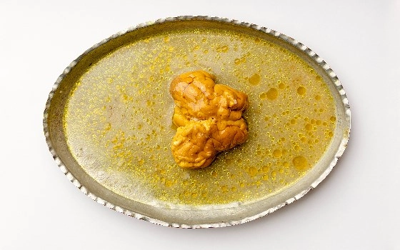 مغز
