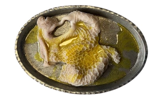 نگاری