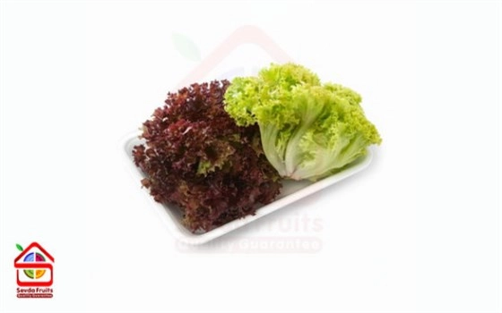 کاهو فرانسوی ممتاز