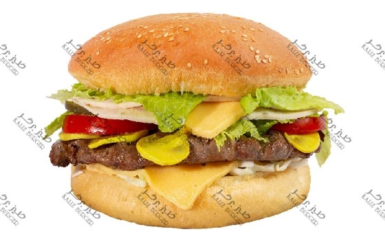ساندویچ استیک ویژه