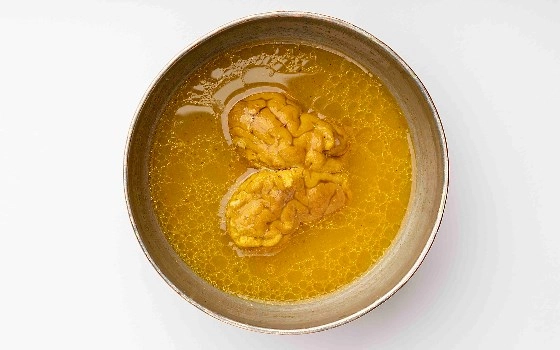 اب مغز کامل