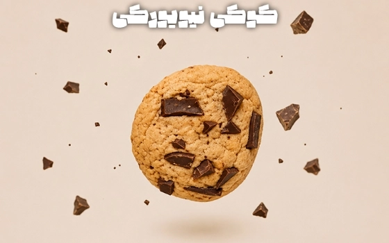 کوکی نیویورکی