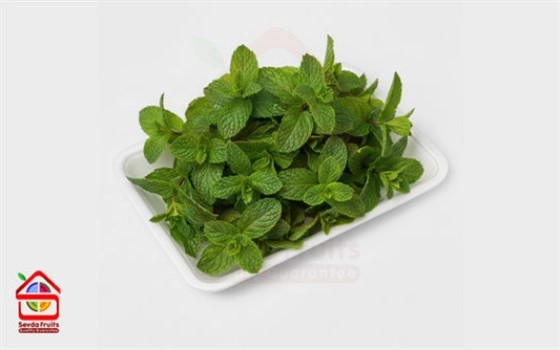 سبزی نعنا موهیتو ممتاز