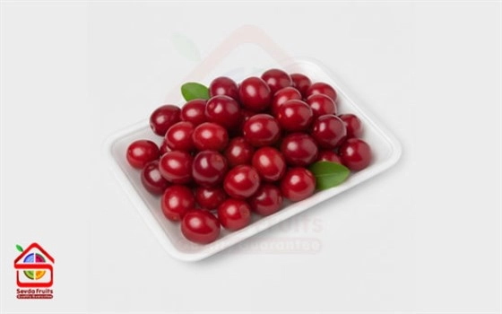 زغال اخته ممتاز