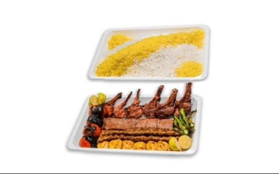 سینی میکس مخصوص ( همراه چلو)