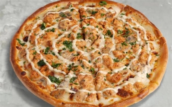 چیکن آلفردو(26سانتی)