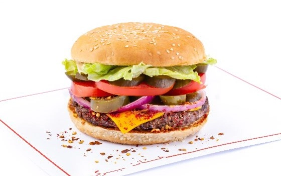 هالی برگر