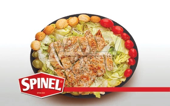سالاد چیکن