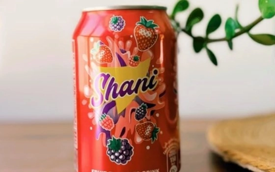 شانی 