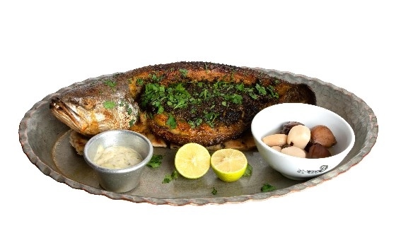 خوراک ماهی شوریده شکم پر