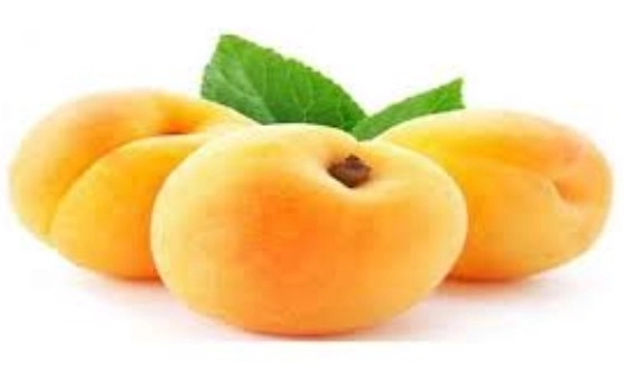 زرد آلو ارومیه ممتاز