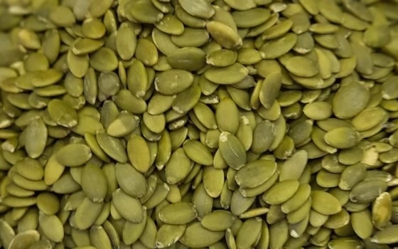 مغزتخمه کدو