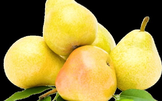 گلابی بیروتی ممتاز