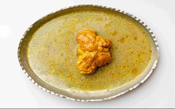 مغز