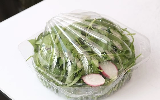 سبزی خوردن