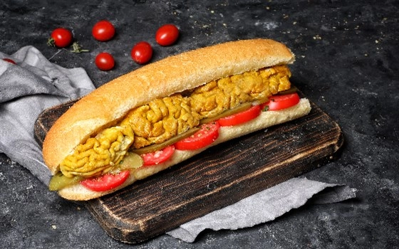 مغز