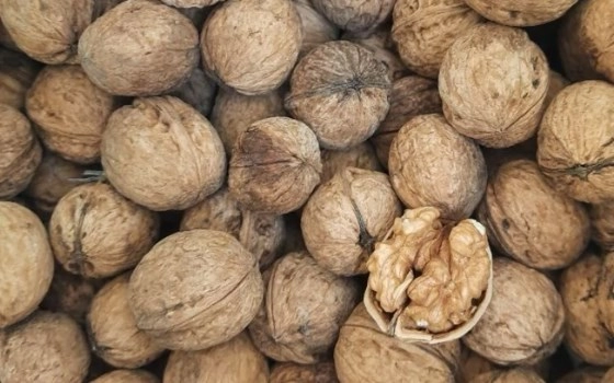 گردوباپوست
