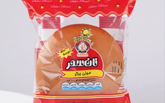 مینی باگت