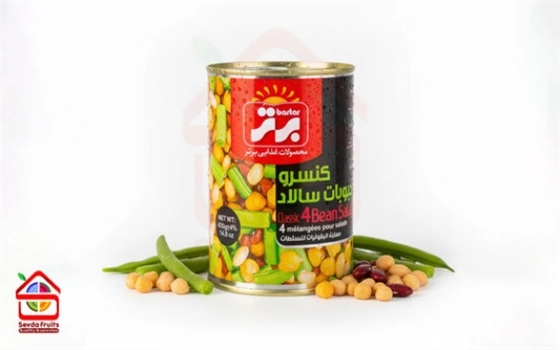 کنسرو حبوبات سالاد برتر