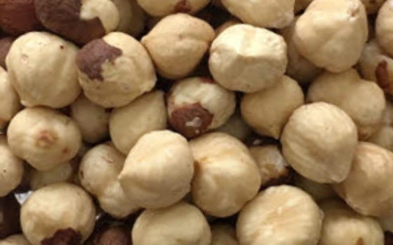 فندق