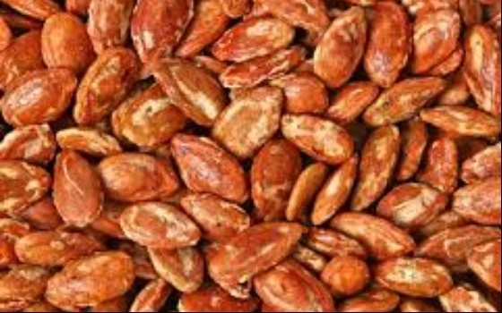 تخمه جابانی