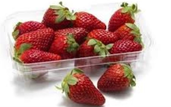 توت فرنگی گلخانه‌ای ممتاز