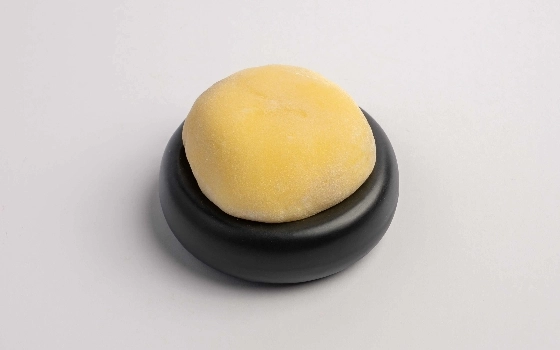 موچی لوتوس