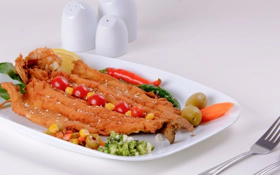 خوراک ماهی قزل آلا