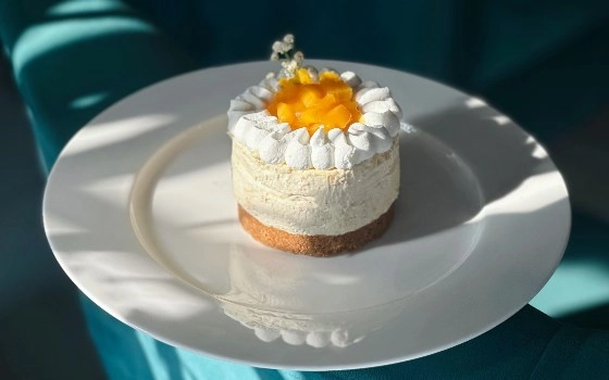 چیز کیک انبه  پسته