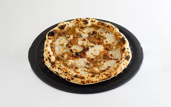 فونگی